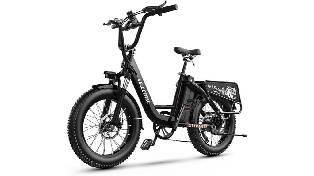 powerful adult electric bicycle