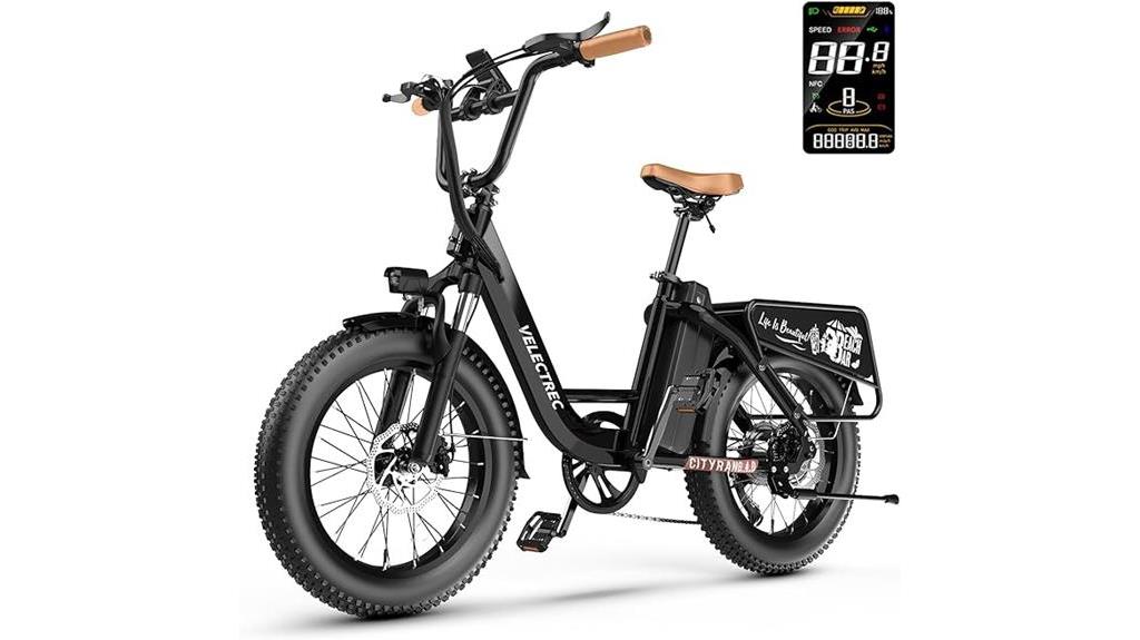 powerful adult electric bike