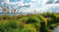 edge protecting planting strategies