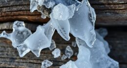 freeze thaw cycle resilience