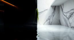 lighting temperature algae growth