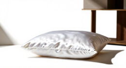 10 Best Best Silk Pillowcase Premium in 2026