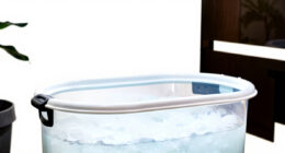 10 Best Portable Ice Bath Tub in 2026