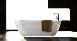 12 Best Bathtub Walk-In Tub in 2026