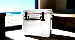 12 Best Waterproof Cooler for Beach Trips in 2026