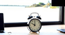 13 Best Best Sunrise Alarm Clock Premium in 2026
