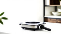 13 Best Steam Oven for Healthy Cooking in 2026