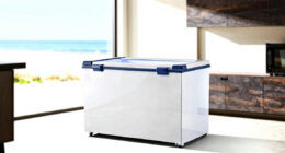 7 Best Chest Freezer for Healthy Meal Prep in 2026