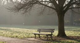 simplicity sustains wellness long