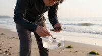 Louisiana Vibrio Vulnificus Outbreak